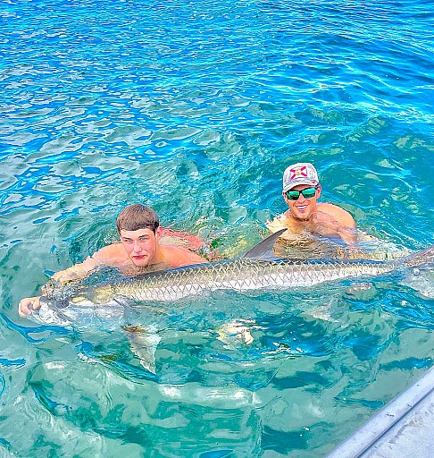 Tarpon