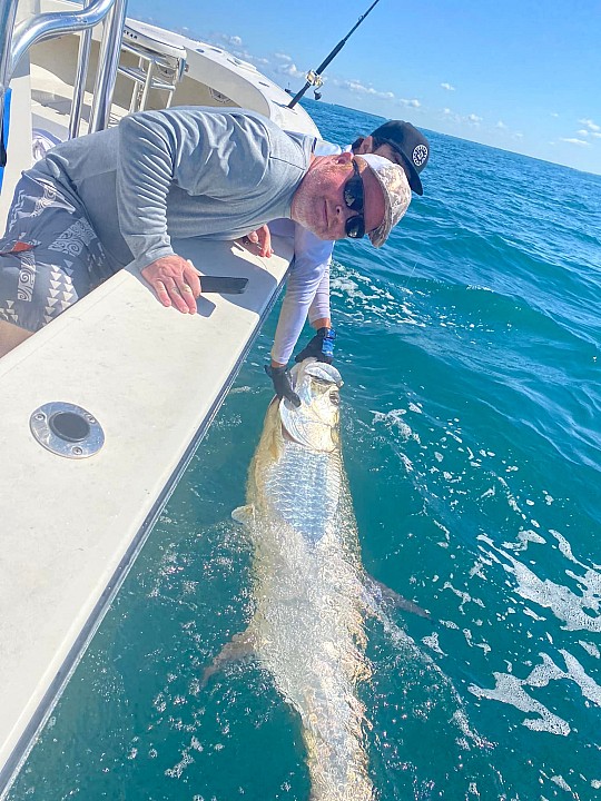 Tarpon