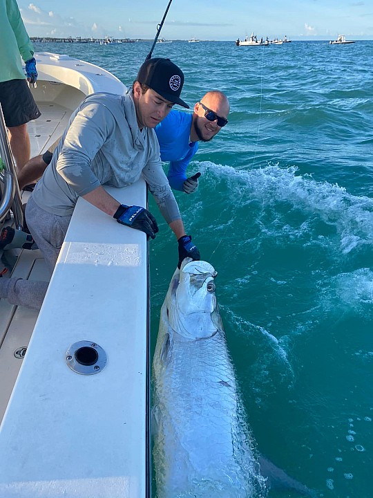 Tarpon