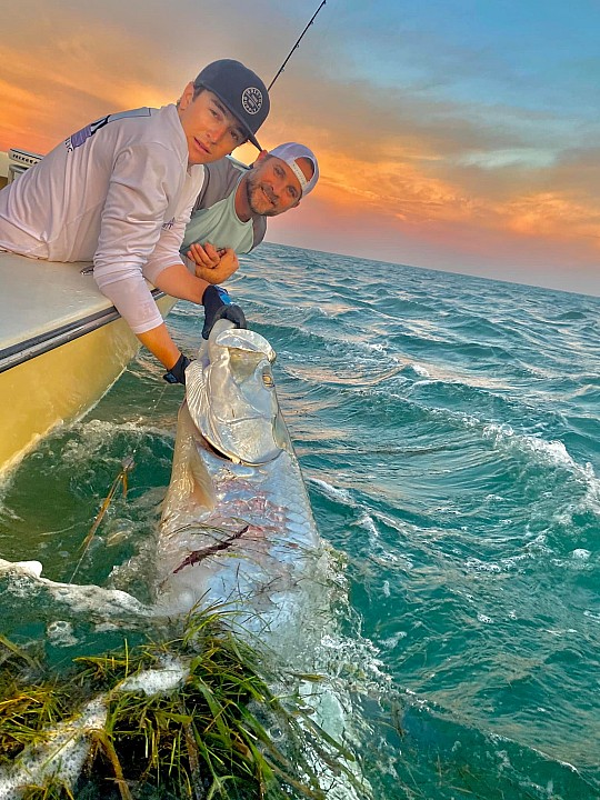 Tarpon