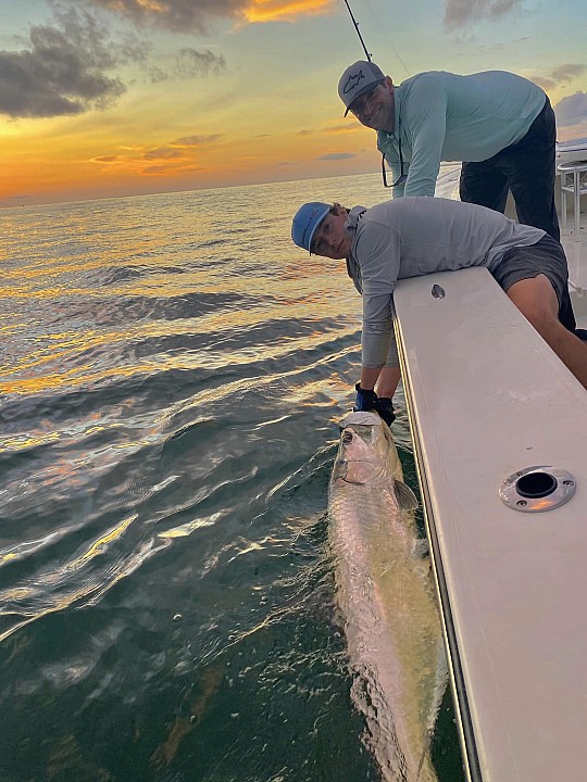 Tarpon