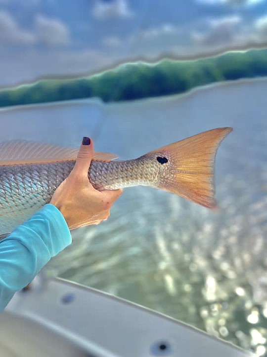 Fishing Charters