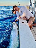 Tarpon
