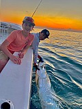 Tarpon