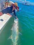 Tarpon