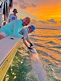 Tarpon