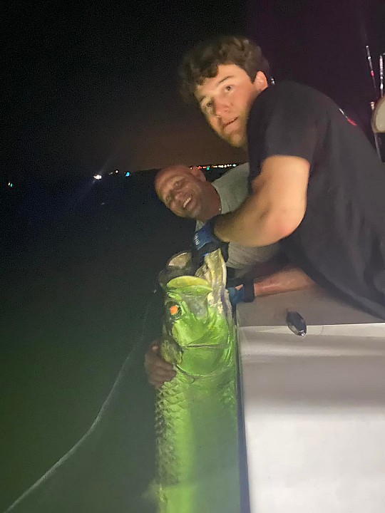 Tarpon