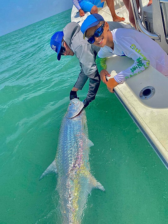 Tarpon